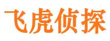 武邑外遇调查取证